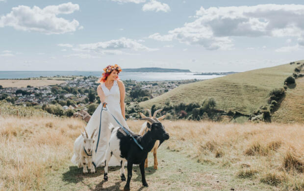 The English Wedding Blog – Goat Walking For Weddings