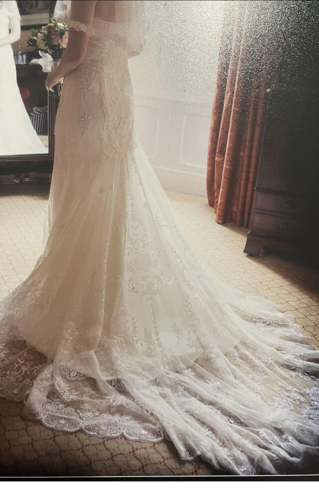 Pronovias | Wedding Dress | Fit To Flare | C7367