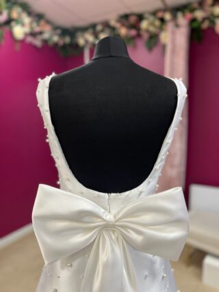 Bowen Dryden | Wedding Dress | Mini | FLB100N