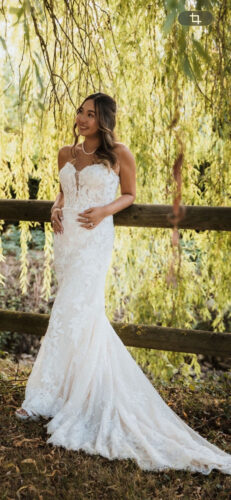 Pronovias | Wedding dress | Fit to Flare  | C9861