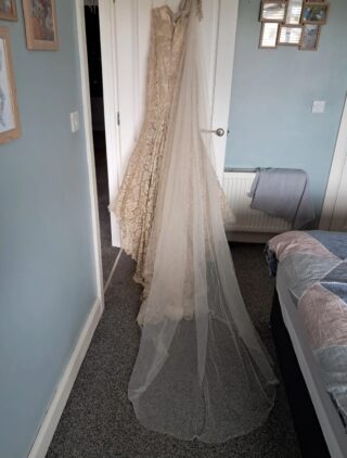 Paris Farage | Wedding dress | Fishtail | C9937