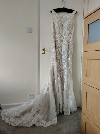 Justin Alexander | Wedding dress | Fit to Flare | C10010