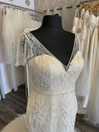 Venus | Wedding Dress | Fit To Flare | C423JL