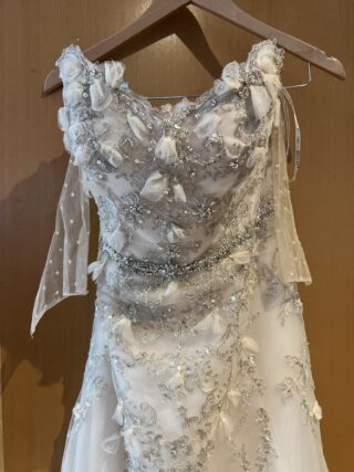 Sottero And Midgley | Wedding Dress | Aline | C9987