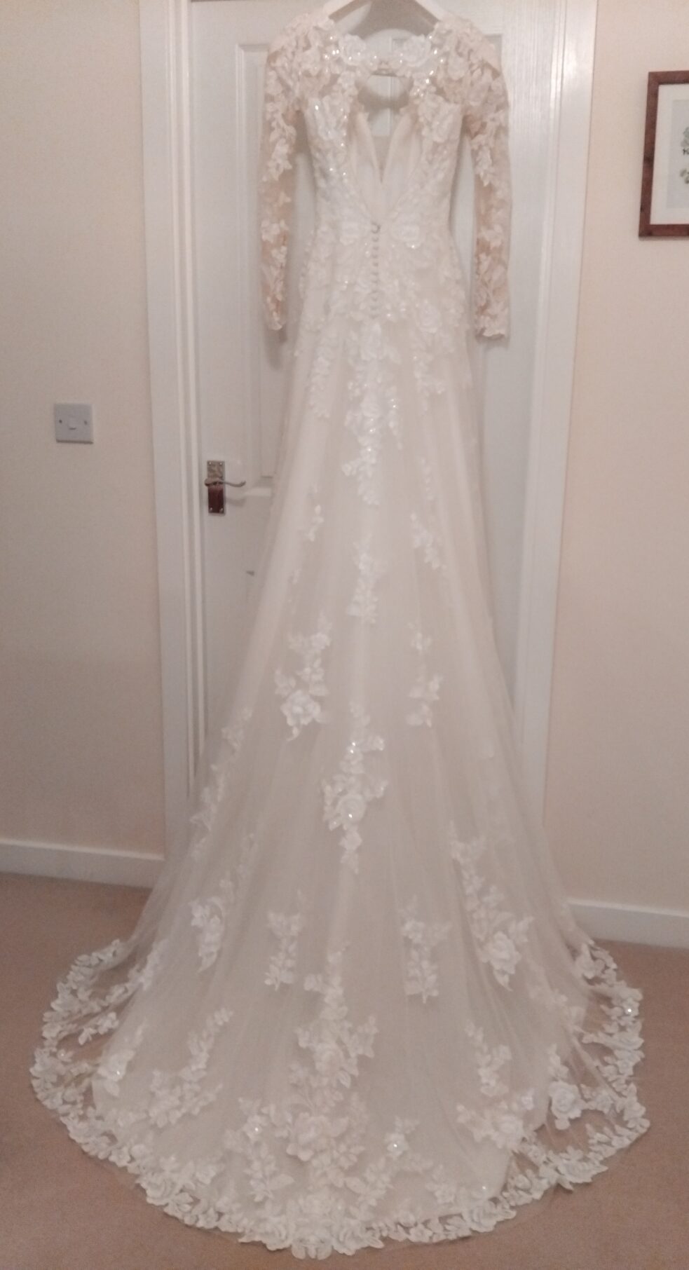 Alberto Palatchi | Wedding dress | Aline | C10044