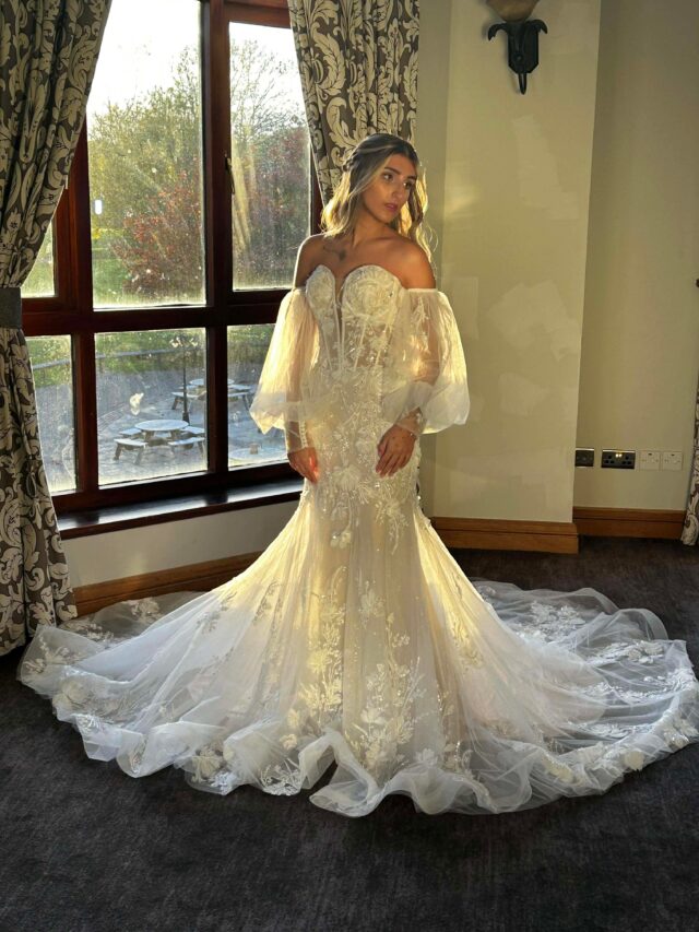 Prestige Bridal | Wedding dress | Fit to Flare | C10168