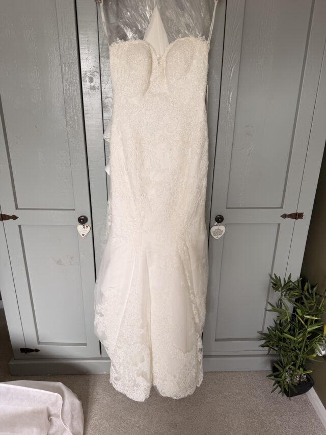 Nicole Spose | Wedding dress | Fishtail | C10271