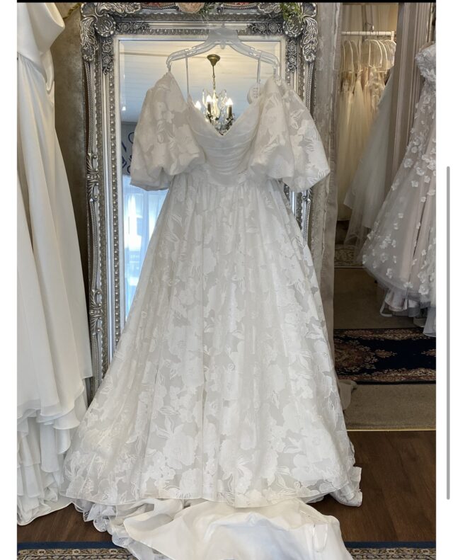 Watters | Wedding Dress | A Line | C10303