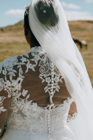 Anna Sorrano | Wedding Dress | A Line | C10366